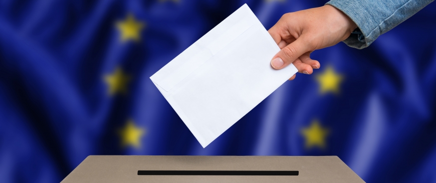 Immagine Elezioni Europee 2024 esercizio del diritto di voto dei cittadini UE residenti in Italia